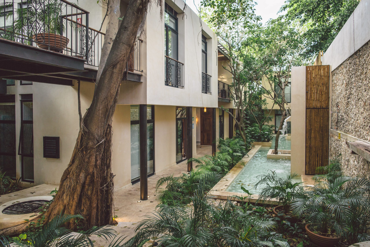 Treehouse Boutique Hotel
